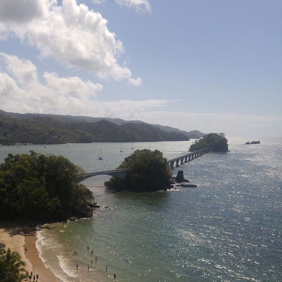 Meet your Posher, Rita - Picture 1 of 2